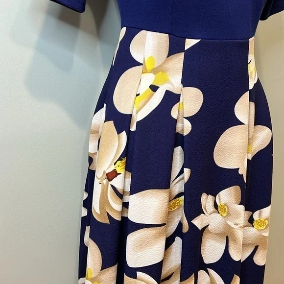 Women’s Fit and Flare Dress with Pockets - Picture 6 of 11